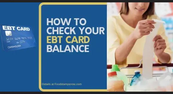 Visit www.connectebt.com to Check EBT Balance – Connect P-EBT Balance Portal